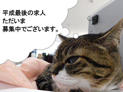 123456kyu_jin_baner.png