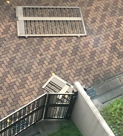 20180904.JPG