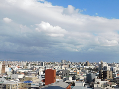 20190313_5fuji.JPG