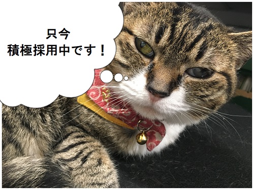 20190614_kyujin_banner.jpg