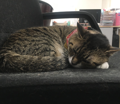 20190628_tabi.JPG