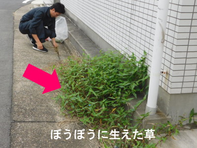プロミネント岩塚　草むしり