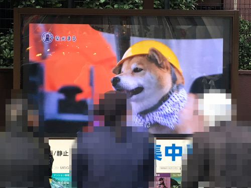 20191127.JPG