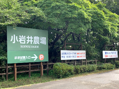 20200916-3.jpg