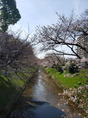 20210324.jpg