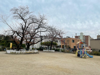 20221117-2.jpg
