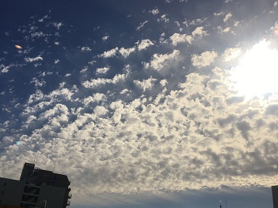 Re_8124.JPG