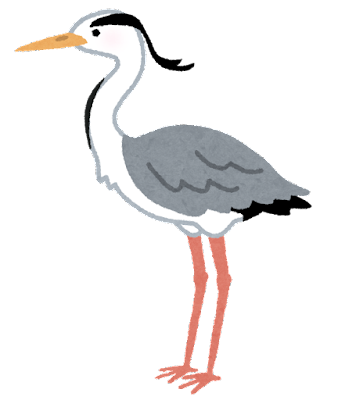 bird_aosagi.png