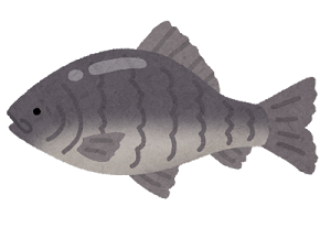 funa.png