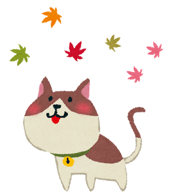 kouyou_cat.png