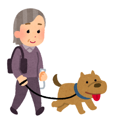 pet_dog_sanpo_obaasan.png