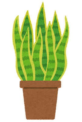 plant_sansevieria.png