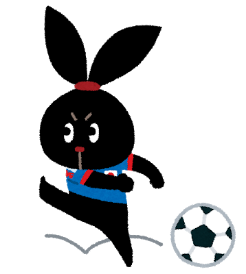 pyoko6_soccer.png