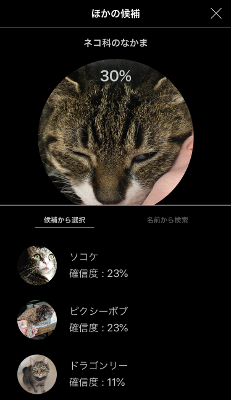 tabi.PNG