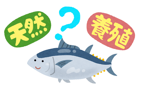yosyoku_maguro.png